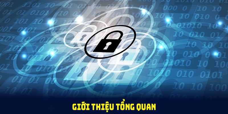 Giới thiệu tổng quan về chính sách bảo mật FIVE88 cho người mới tiếp cận